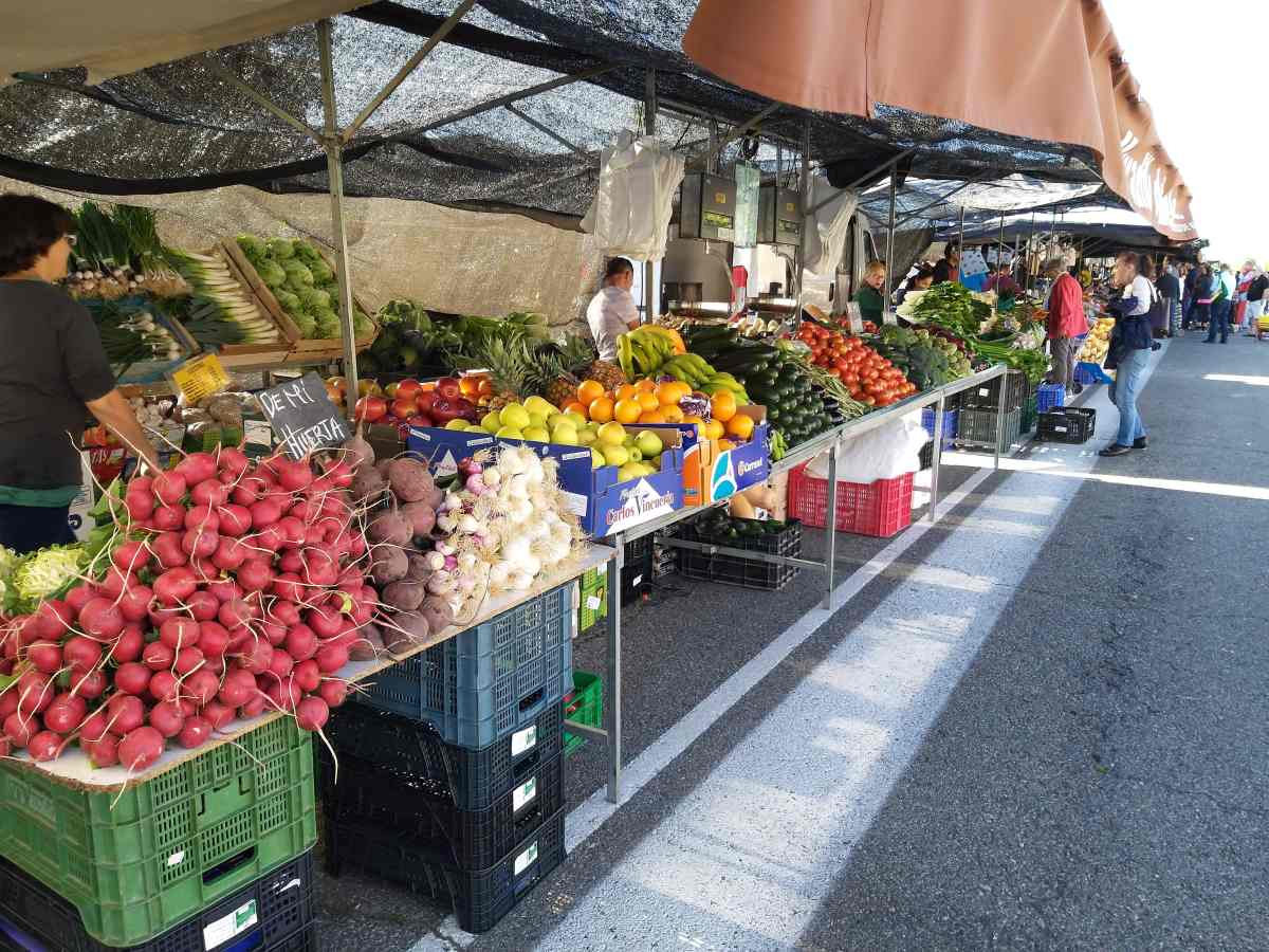 La huerta de Madrid, llega a Pozuelo de&nbsp;Alarcón